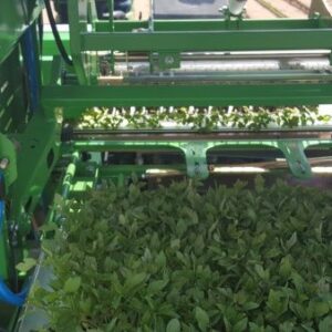 Apolinários - Alfaias e Equipamentos Agrícolas